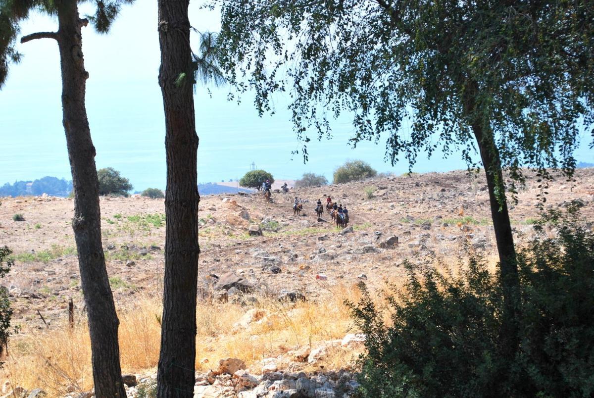 Vered Hagalil Holiday Village Hotel Chorazim Exterior foto